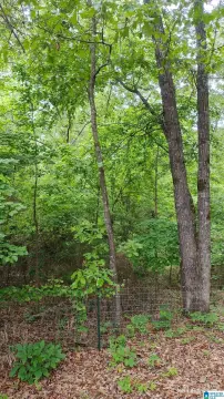 Wooded Acreage in West Blocton