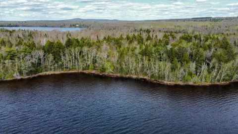 Maine Lakefront Land Parcel