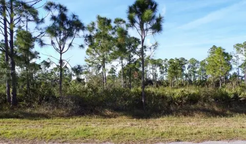 Port Charlotte Residential Land Opportunity