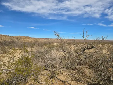 Desert Land Parcel
