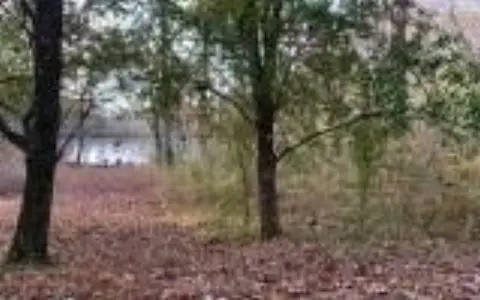 Unrestricted Creek Front Land