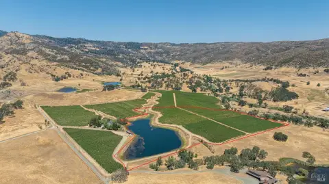 Cabernet Sauvignon Vineyard Land