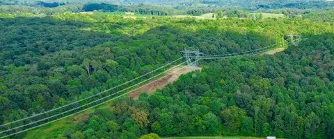 Wooded Acreage in Wilkesville, Ohio