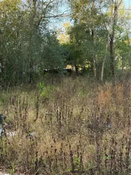 Residential Land in New Port Richey