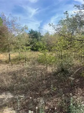 Residential Land in Athens, TX