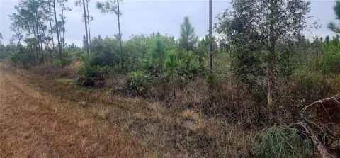 Residential Land in Indian Lake