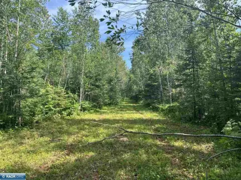 160 Acres Near Rainy River