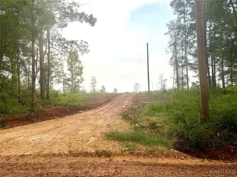 Greenville, AL Land Opportunity