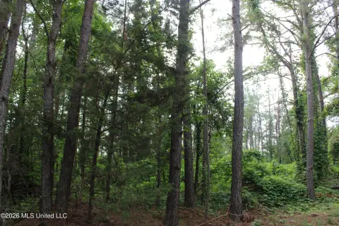 Rolling Wooded Hunting Tract