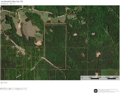 Hunting Land with Road Frontage