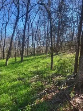 Eureka Springs Residential Lots