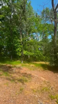 Residential Lot in South Shreveport