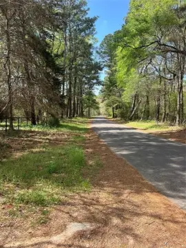 136.5 Acres of East Texas Timberland