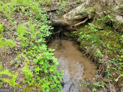 Land in Oak Ridge Mountain