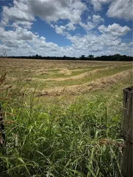 65 Acres of Pasture Land