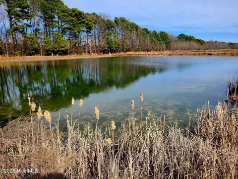 Established Fish Farm