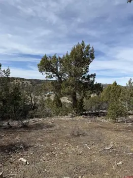 Mancos CO Residential Land