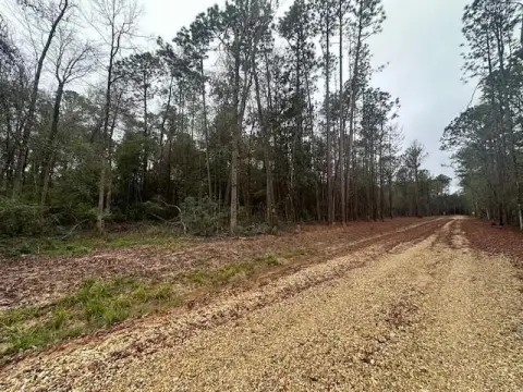 Covington Land in New Subdivision