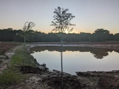 Improved Land Ready For Building