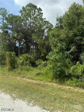 Agricultural Land Parcel