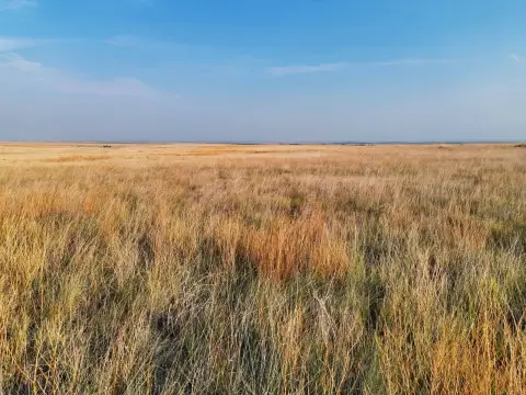 CRP Farmland and Hunting Tract