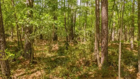 Residential Land in Hideaway, TX