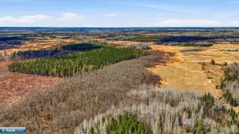 Angora, MN 80-Acre Parcel