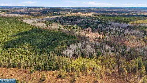 160 Acres in Angora, MN