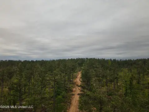 Recreational Timber Hunting Tract