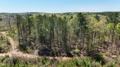 Recreational Land in Decatur, MS