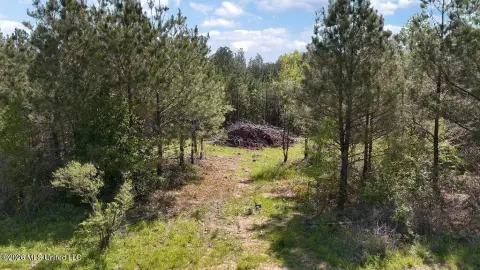 Secluded Homesite Near Barnett Reservoir
