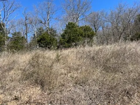 Holiday Island Building Lot