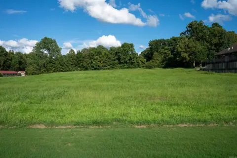 Commercial Land in Medical Professional Park