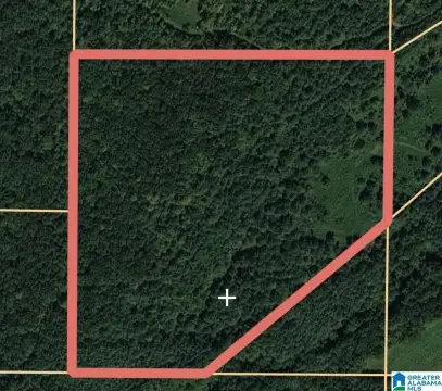 34 Acres in Springville, AL