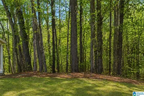 Residential Lot in Long Branch