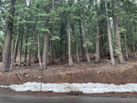 Tahoe Vista Vacant Land