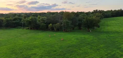 Residential Lot in Kestrel Heights