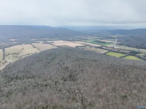 264 Acres Hunting Land, Alabama