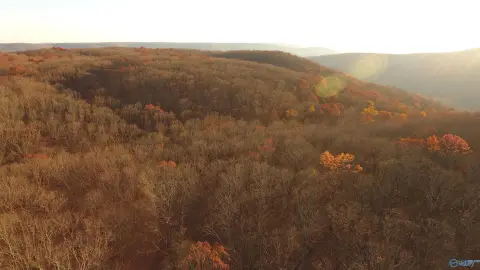 245 AC Hunting/Recreational Land