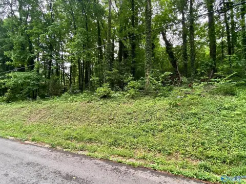 Residential Land in Guntersville, AL