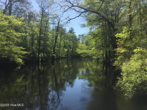 Waterfront Land in Burgaw, NC