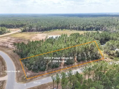 Republic Grand Ranch Corner Lot