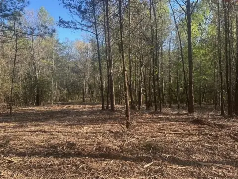 Unrestricted Creekfront Acreage