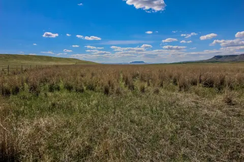 160 Acres in Cascade, MT