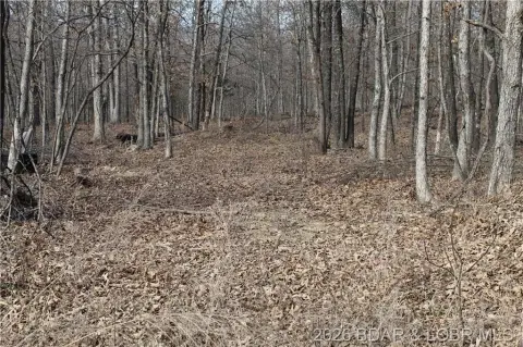 Land Parcel Near Lake Access