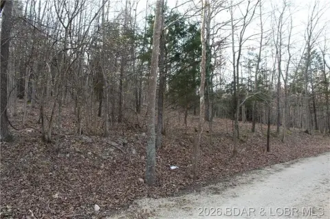 Residential Lot in Gravois Mills