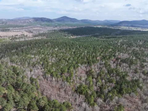 Wooded Recreation Land Tract