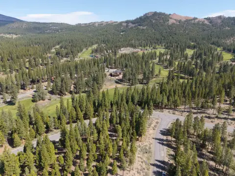 Grizzly Ranch Treed Parcel