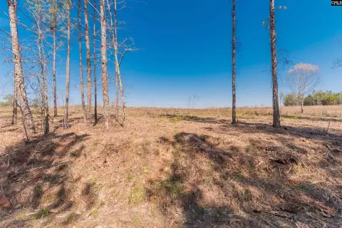 Residential Lots Near Traffic Circle