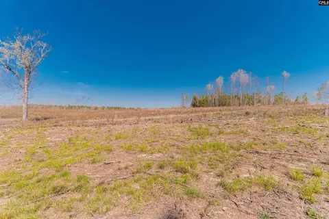 Residential Land Near Traffic Circle